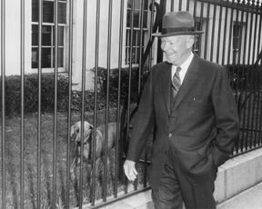 March 11, 1959--President Eisenhower and his dog Heidi walk along the White House fence as Eisenhower returns from a press conference. [72-3010-2]