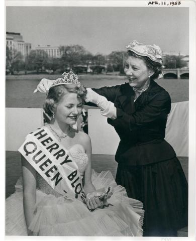 Mrs. Dwight Eisenhower crowned Janet Kaye Bailey of Akron, Ohio, as part of the ceremonies at the Cherry Blossom Festival at the Tidal Basin, Washington, DC. April 11, 1953 [72-211-2]