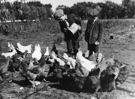 Dwight D. Eisenhower's younger brothers, Milton and Earl, feeding the chickens, ca. 1905, Abilene, Kansas.