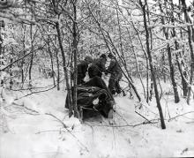 Ardennes-Battle of the Bulge. January 12, 1945 - Medics remove an American casualty from the wood near Berle, Luxembourg.